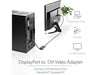 Startech DisplayPort to DVI Adapter - Godmode Adapter Startech
